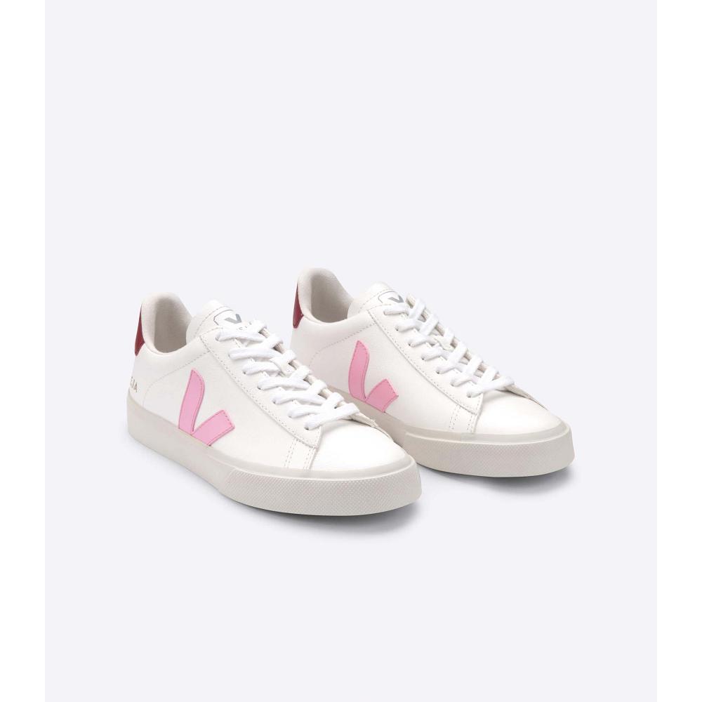 Veja CAMPO CHROMEFREE Low Tops Sneakers Férfi White/Pink | HU 193WNB